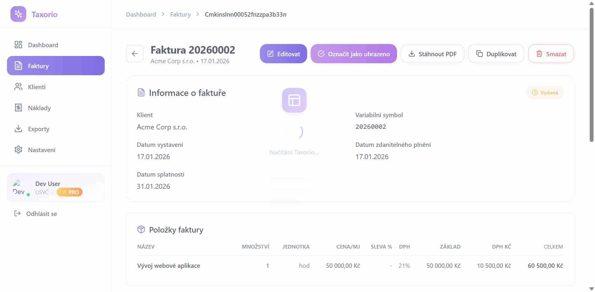 💼 Profesionální faktury